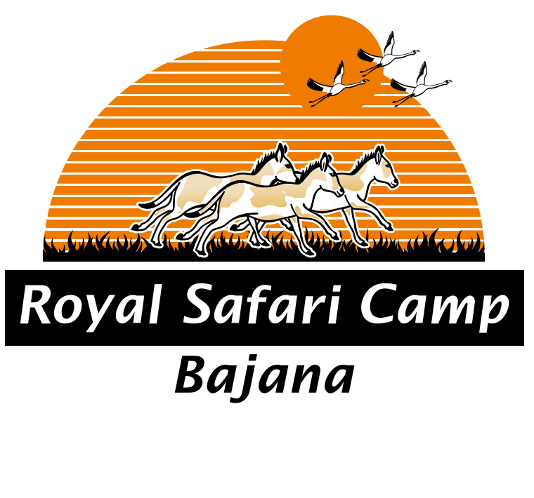 Royal Safari Camp